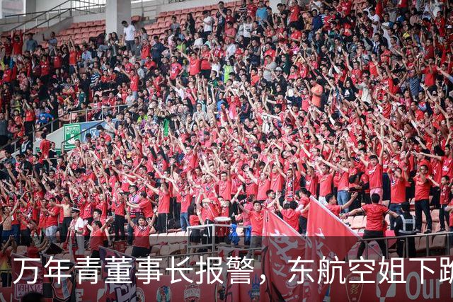 万年青董事长报警，东航空姐下跪事件成谜，欧某某已亮相