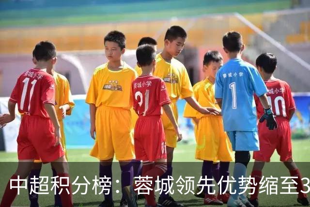 中超积分榜：蓉城领先优势缩至3分 两降级队最终确定
