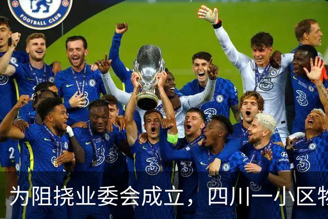 为阻挠业委会成立，四川一小区物业经理悄悄给业主送去10万元，希望其“放缓节奏、消极作为”；监管部门：属商业贿赂，物业公司被罚11万元