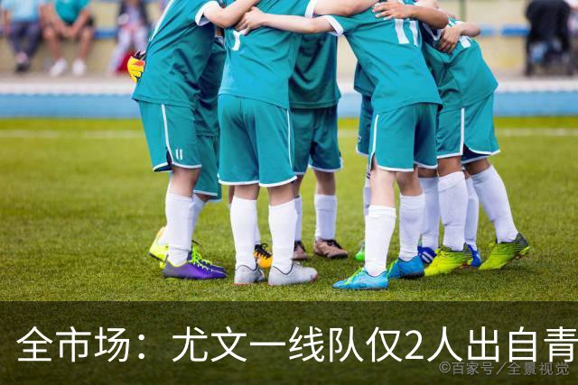 全市场：尤文一线队仅2人出自青训，仅平索利奥是意大利人