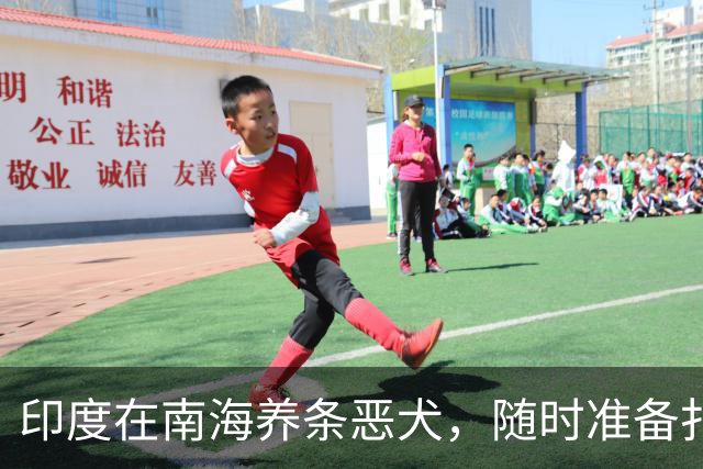 印度在南海养条恶犬，随时准备扑上来撕咬，印媒：让中国知道厉害