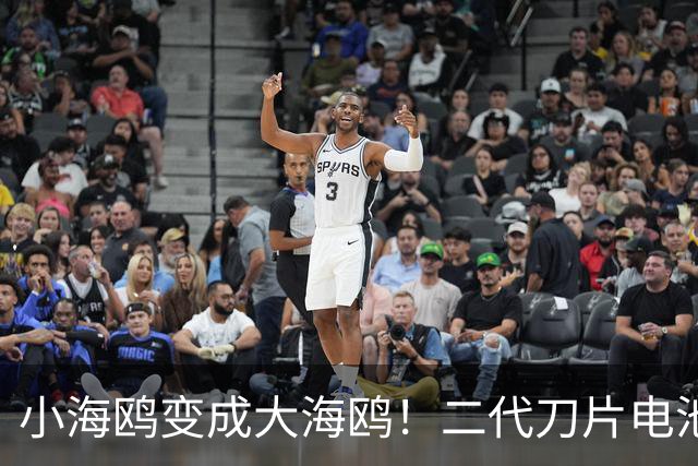 小海鸥变成大海鸥！二代刀片电池+闪充，电机95千瓦，续航420公里