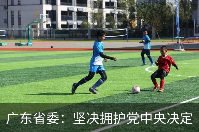 广东省委：坚决拥护党中央决定