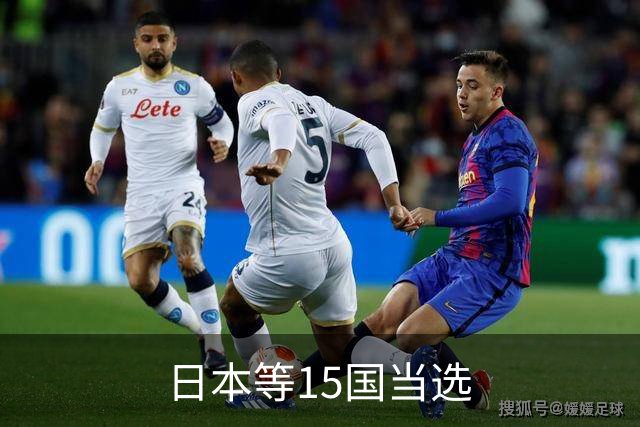 日本等15国当选