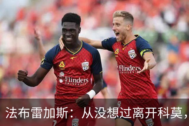 法布雷加斯：从没想过离开科莫，一想这事可能就到头了