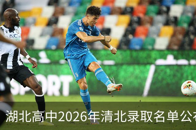 湖北高中2026年清北录取名单公布