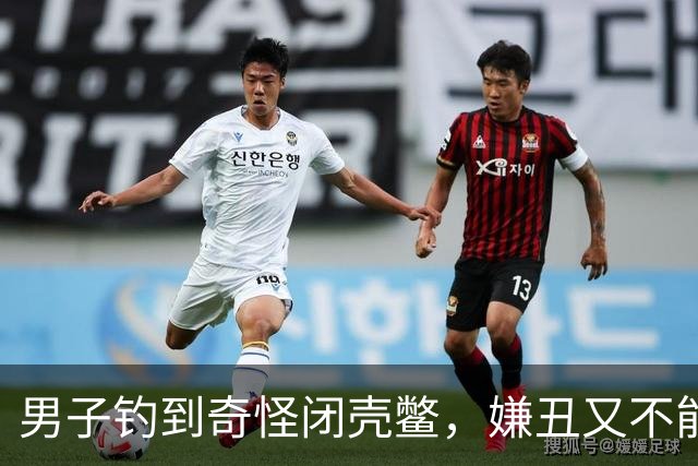 男子钓到奇怪闭壳鳖，嫌丑又不能吃直接丢掉，网友：放走了几万块！