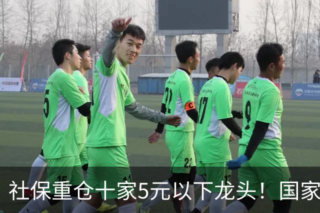 社保重仓十家5元以下龙头！国家队布局白菜价股，背后藏着哪些玄机