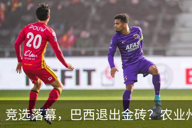 竞选落幕，巴西退出金砖？农业州率先翻脸，对华出口770亿岂能丢