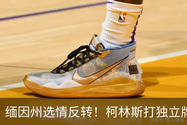 缅因州选情反转！柯林斯打独立牌，刻意和特朗普拉开距离
