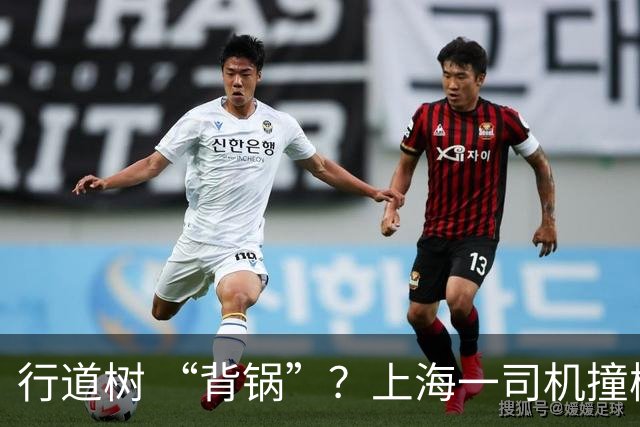 行道树 “背锅”？上海一司机撞树后主张树木全责，结果来了