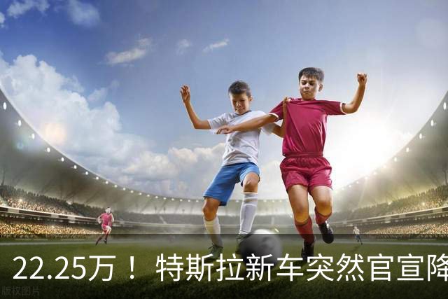 22.25万 ！特斯拉新车突然官宣降价