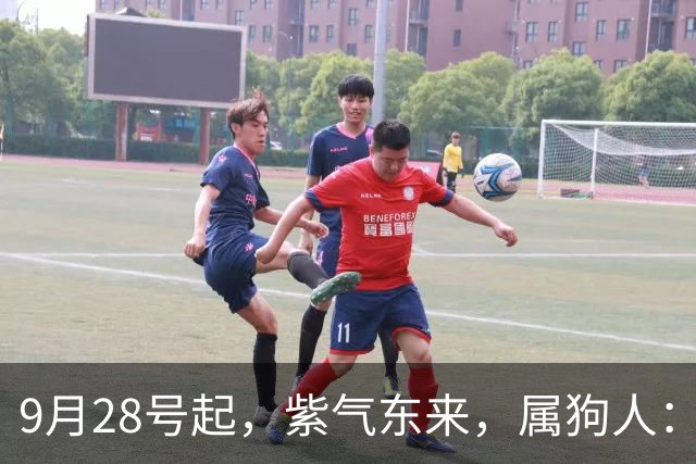 9月28号起，紫气东来，属狗人：人在家中坐，财从天上来